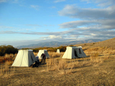 USA-Idaho-Medicine Lodge Horse Drive